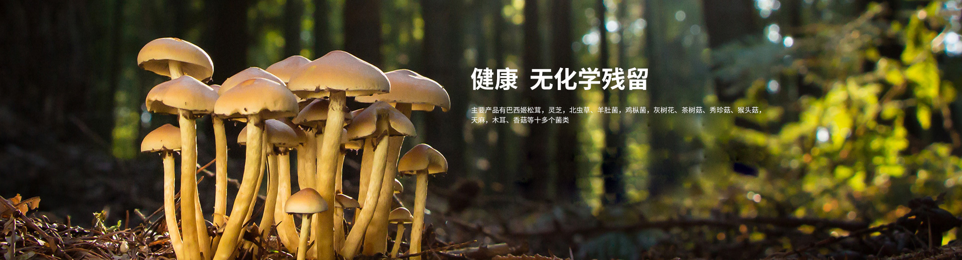 長(zhǎng)沙而立生物科技有限公司